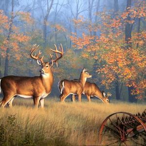 Meet your Posher, Janet